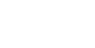 Winston Capital